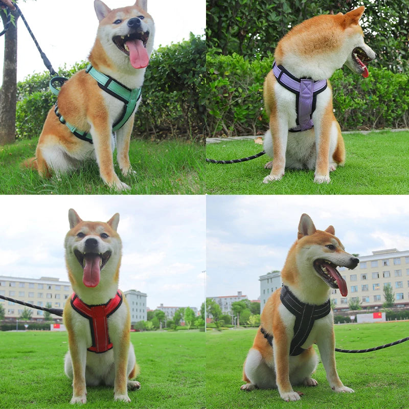 Pet Dog Harness with Handle for Medium Large Dogs French Bulldog Vest Harness Adjustable Puppy Chest Straps Labrador Dogs Collar